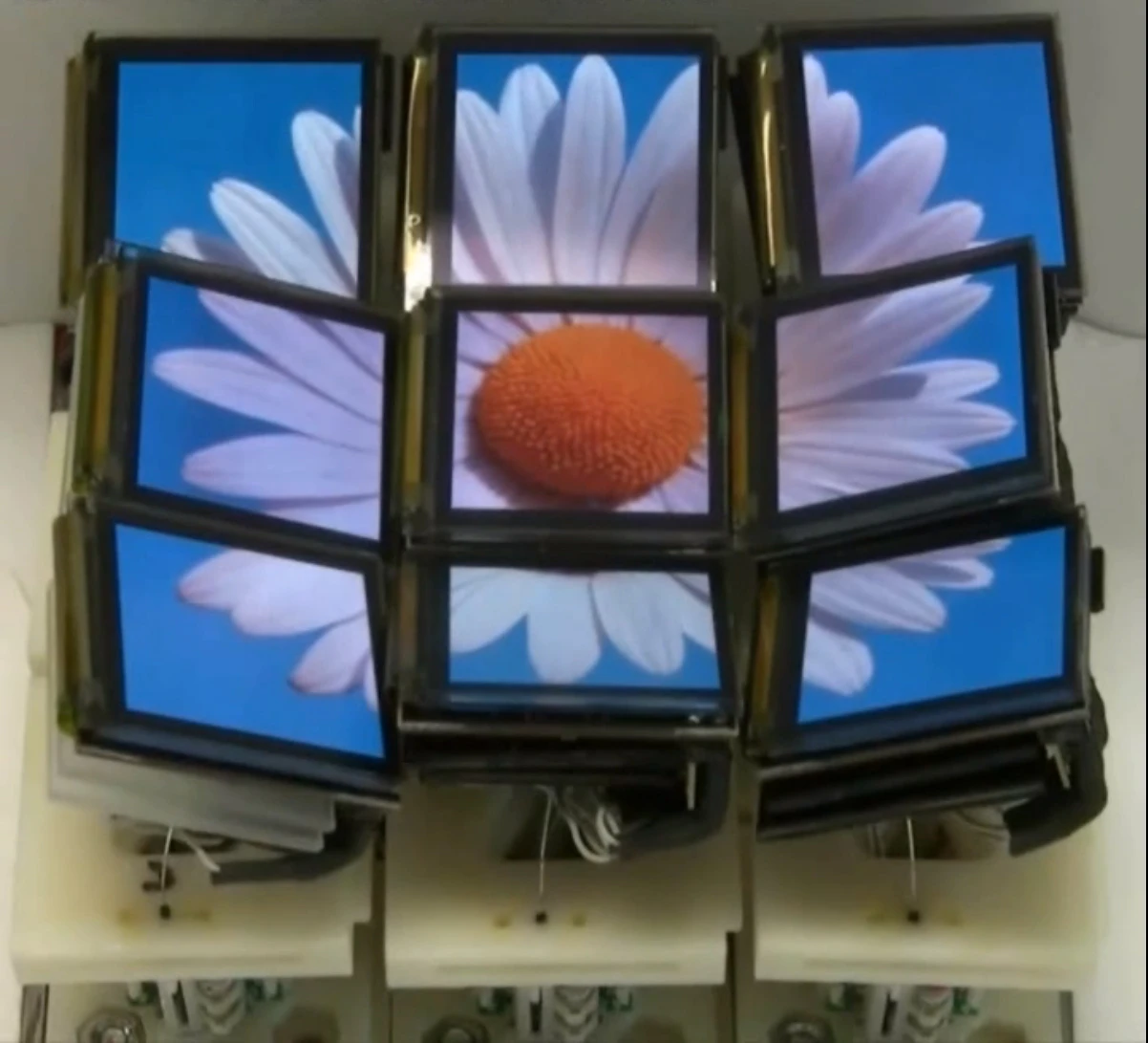 The Tilt Display showing a flower
