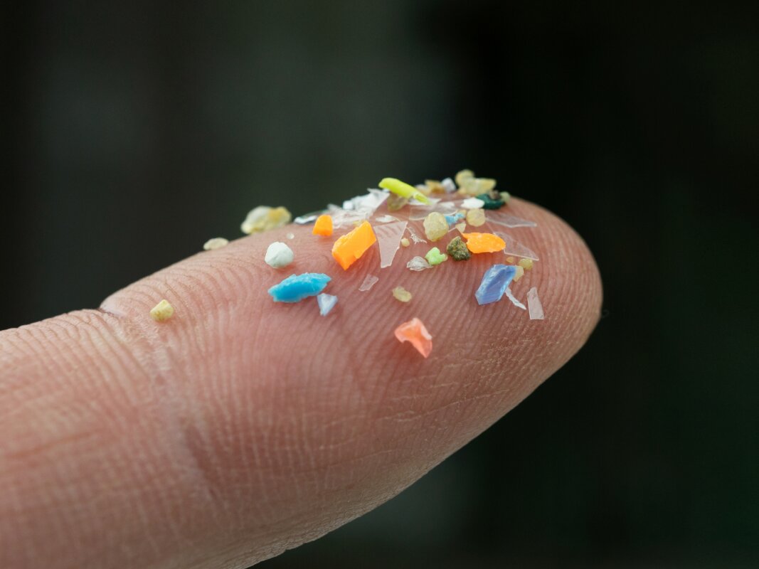 We can now watch microplastics moving through our bodies