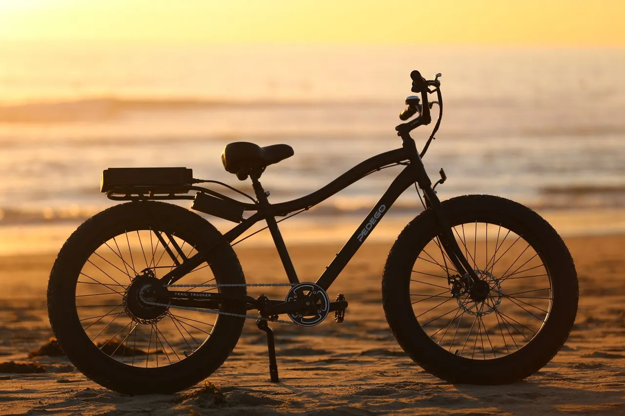 The Trail Tracker is either pedaled without any electrical assistance, or is run by motor power only, like a slimmed-down electric motorcycle