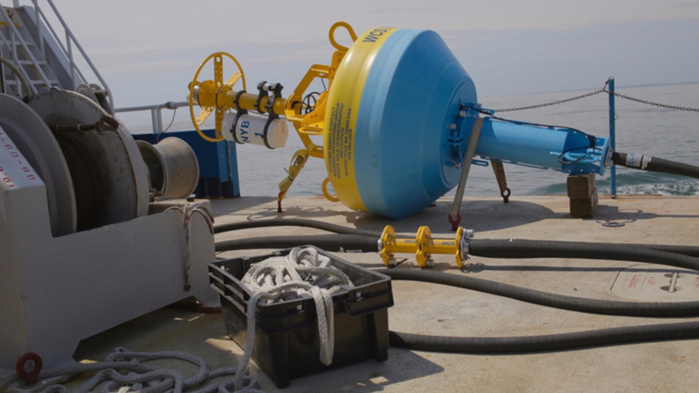 The buoy was successfully deployed a little over a month ago, on June 23, and it's monitoring equipment almost immediately started detecting the vocalizations of fin whales