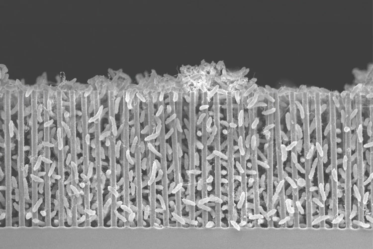 A hybrid reactor developed at UC Berkeley uses bacteria and sunlight to convert CO2 into acetate
