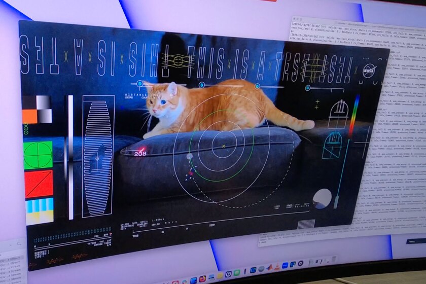 NASA has elevated cat videos to a new frontier through its Psyche Deep Space Optical Communications experiment, transmitting a 15-second high-definition footage of a playful tabby across a distance of 19 million miles (31 million km) to Earth.