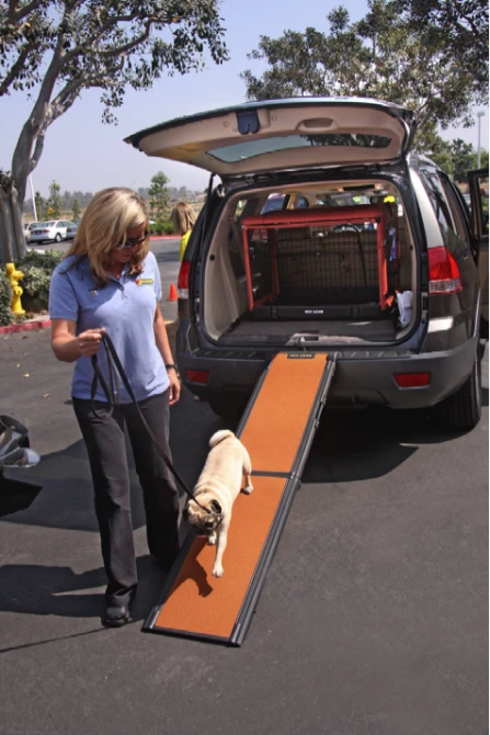 The Jeep Liberty comes with a ramp with is great for arthritic or large dogs