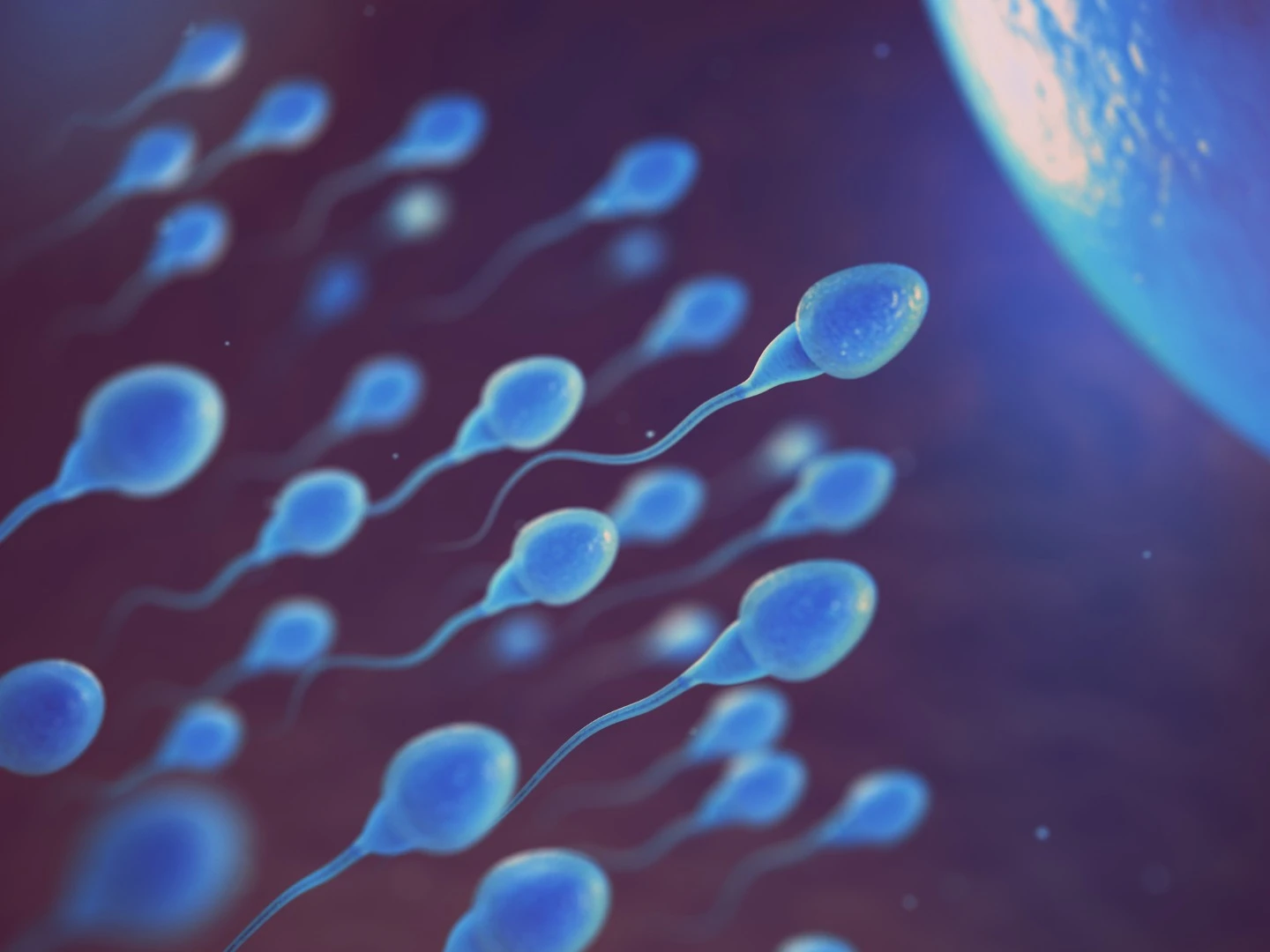 A thorough, yet observational, study found tight underwear does correlate with lower sperm counts, but not to a point where they are below a normal range