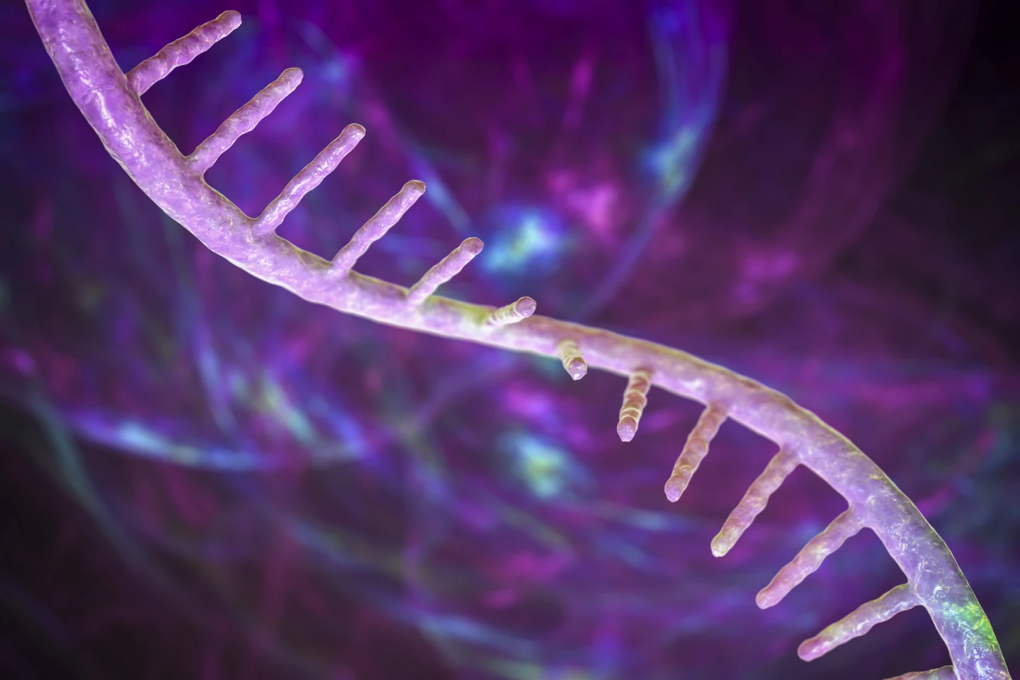 A personalized skin cancer vaccine targets antigens tailored to their specific tumor