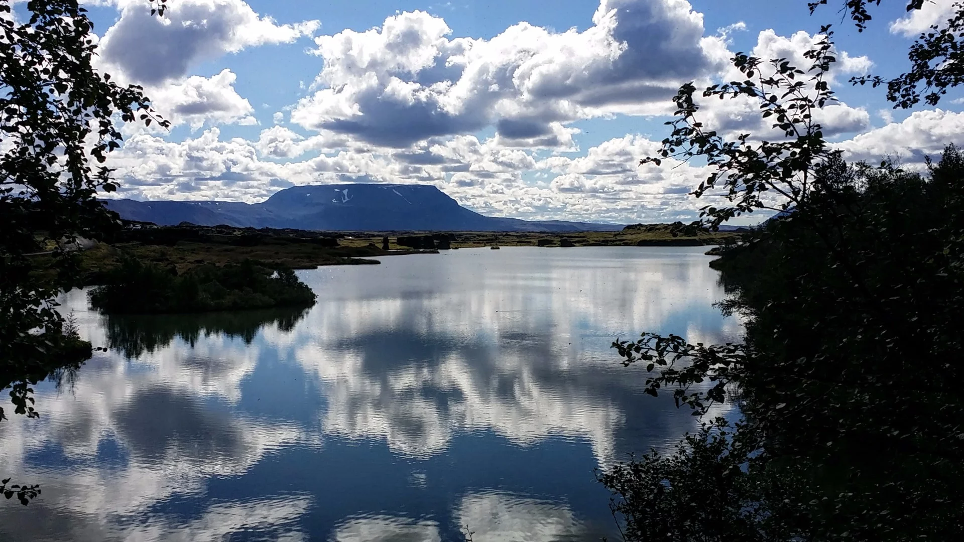 While much of the Icelandic landscape is desolate, Lake Myvatn in the north of the country provides an oasis for life, particularly bird life. The lake was formed about 2,300 years ago from – you guessed it – a volcanic eruption, and today is the fourth largest lake in the country. It is fed with cold-water springs that bring nutrients from deep underground and attract thousands of midges (its name actually means "Lake Midge"). Those insects, in turn, bring a plethora of bird life to the lake, making it the home to more species of birds than anywhere in Europe.