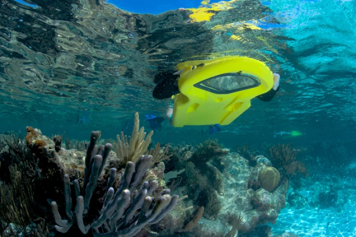 The Zayak provides a look at fish, plants and other sea life