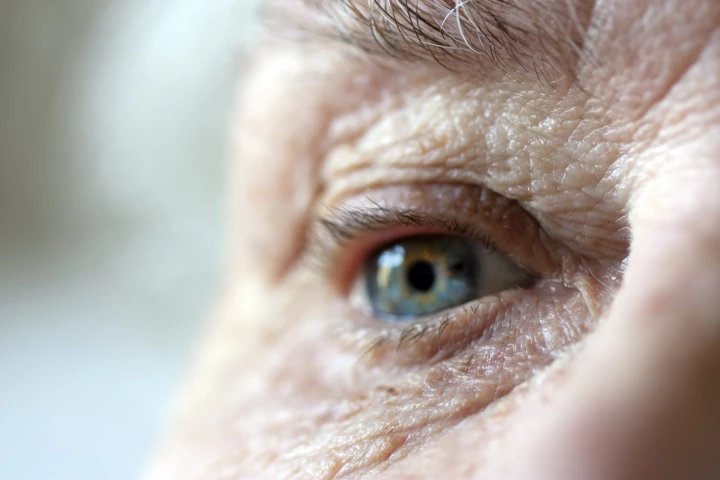 A new gene therapy has restored vision in mice with glaucoma or age-related vision loss