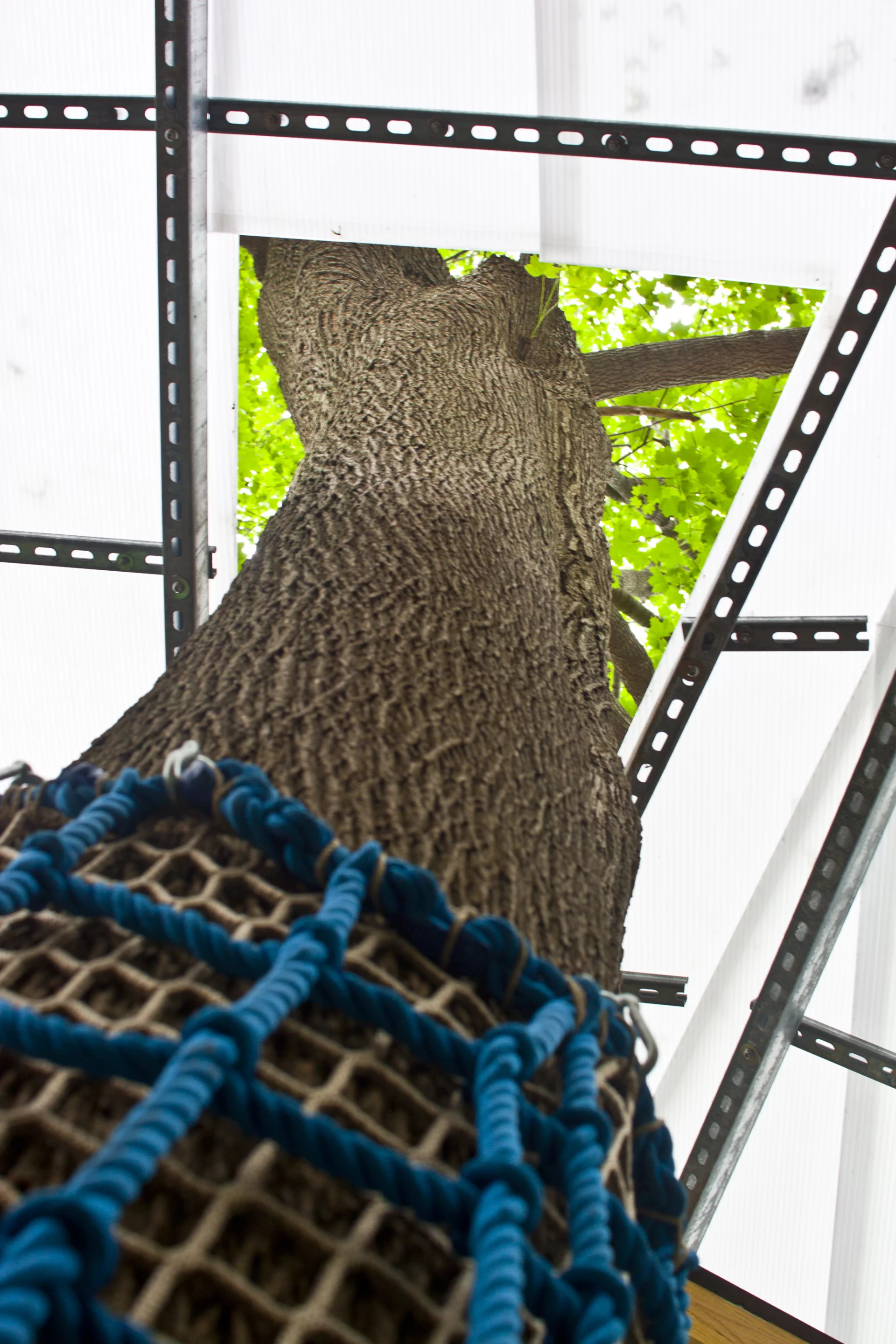 Inside, a climbing net stretches across the opening between the floor and the tree (Photo: Syracuse SOA)