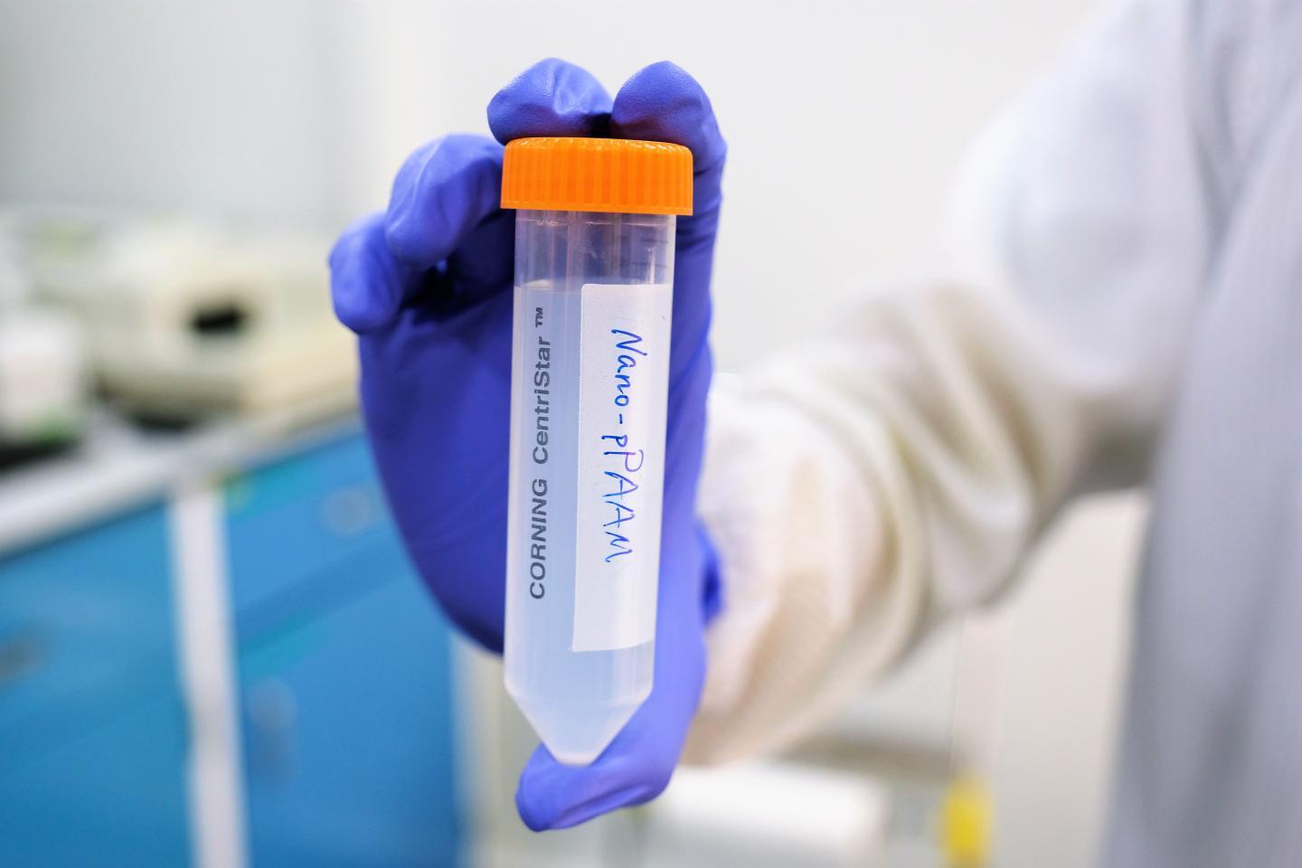 Called Nanoscopic phenylalanine Porous Amino Acid Mimic, or Nano-pPAAM, this nanoparticle was put to the test against cancer cells in mice