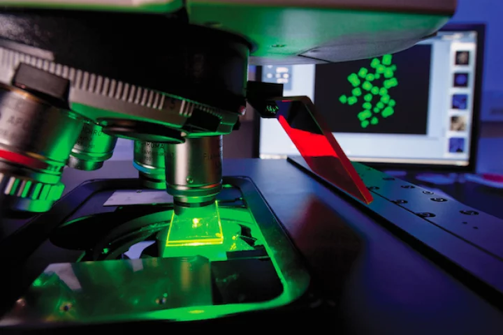 The 520 genome sequences released are matched sets of normal and tumor tissue samples from 260 pediatric cancer patients