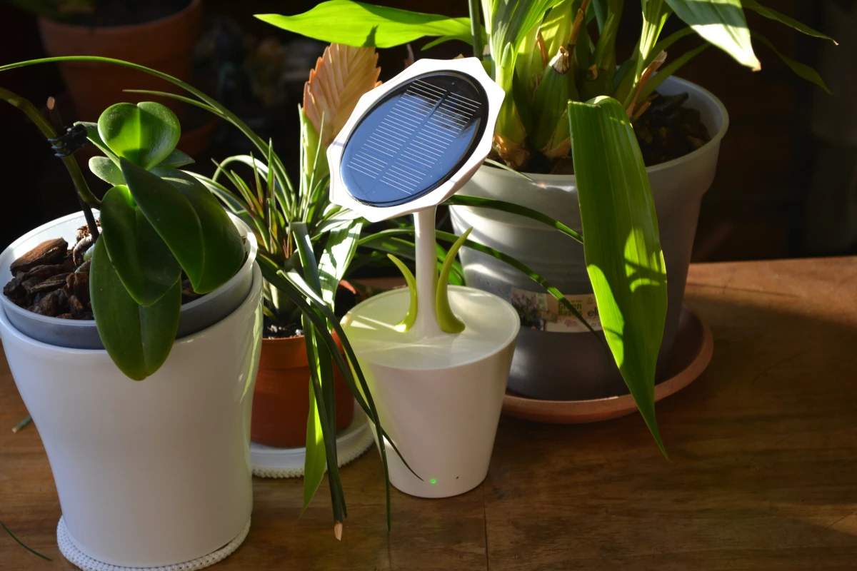 A hands-on review of the Solar Sunflower from XD Design