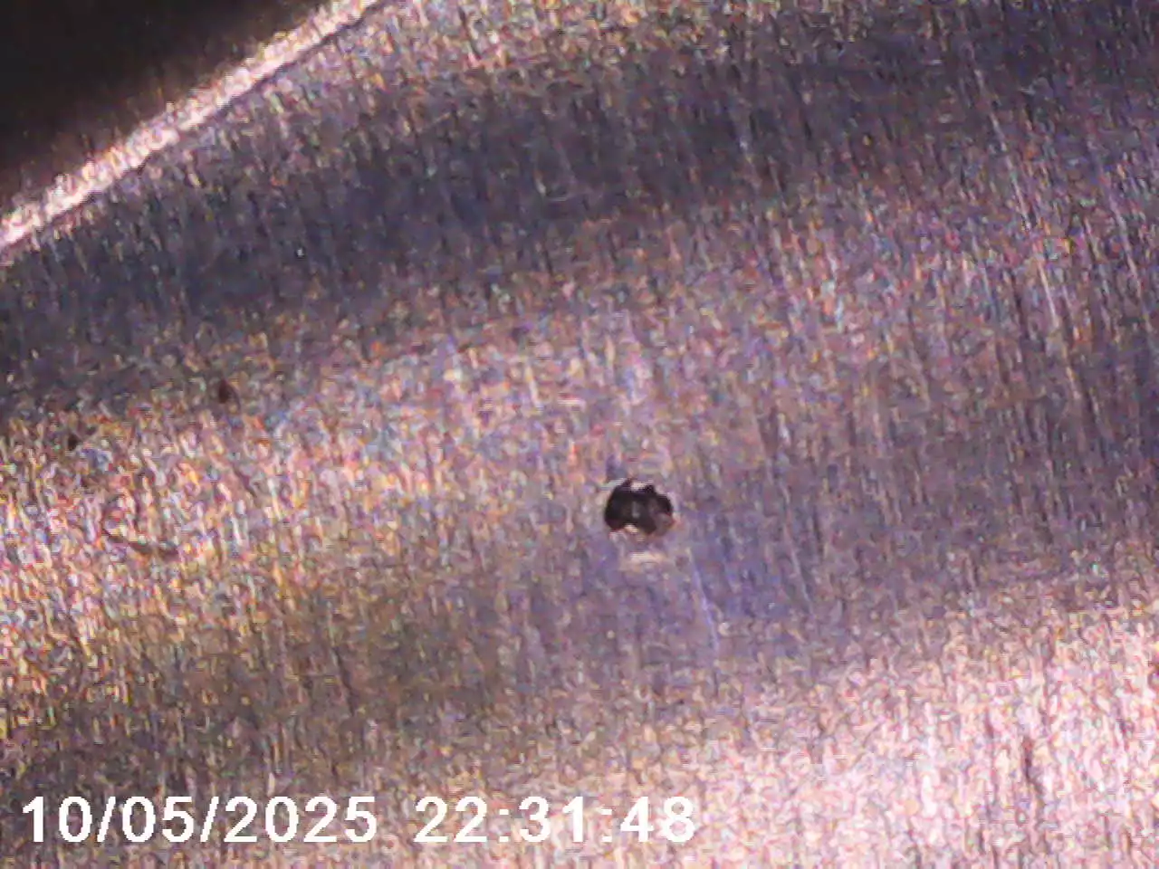 Puma White hunter proof mark seen under a microscope