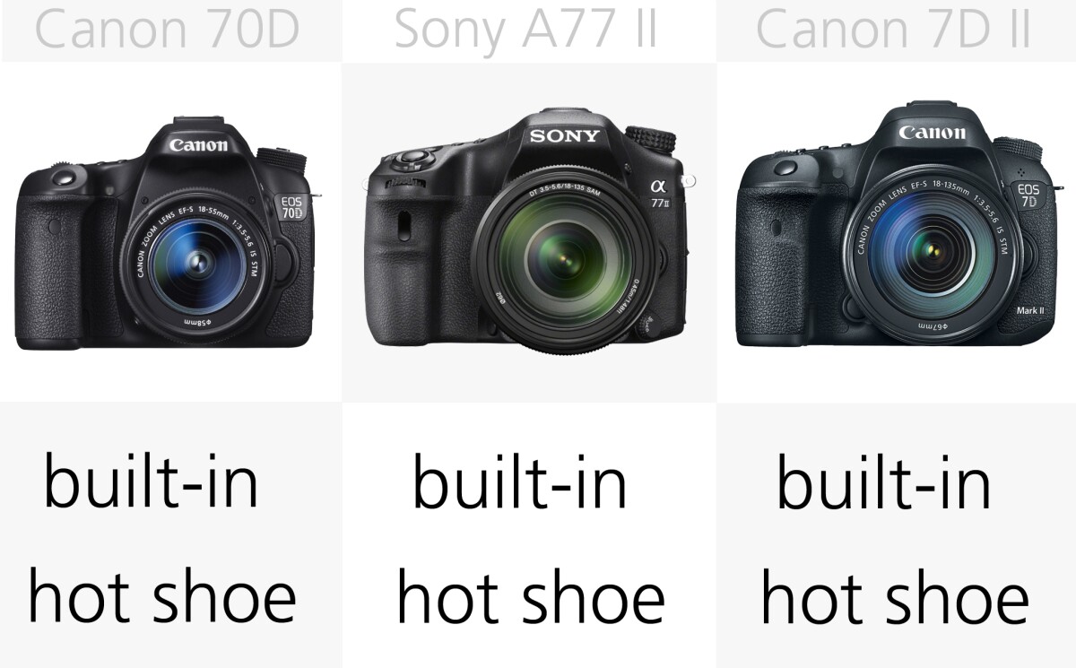 As you would expect of a DSLR lineup like this, all of these cameras have built-in flashes and hot-shoes