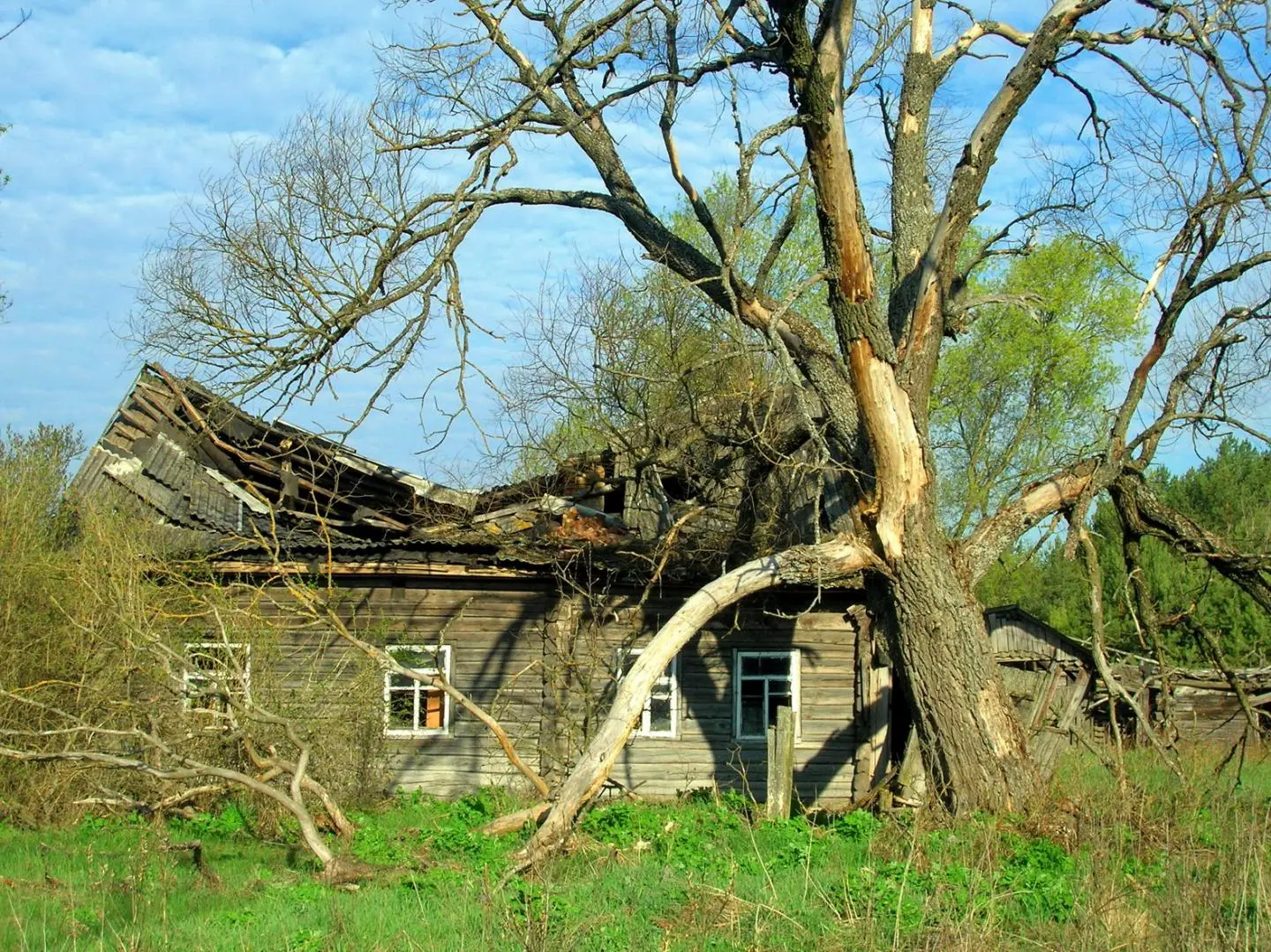 As radioactive particles poured out of the Chernobyl Nuclear Power Plant in 1986, a 4,200 km sq (1,621 mi sq) human exclusion zone was established around the site