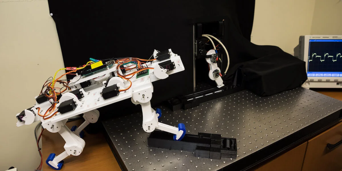The new robotic limb attached to a four-legged machine