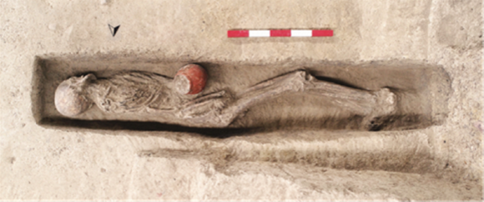 The alcohol drinking vessels discovered at the Qiaotou site were found alongside human skeletons, suggesting the drink was consumed as part of a ritual honoring the dead