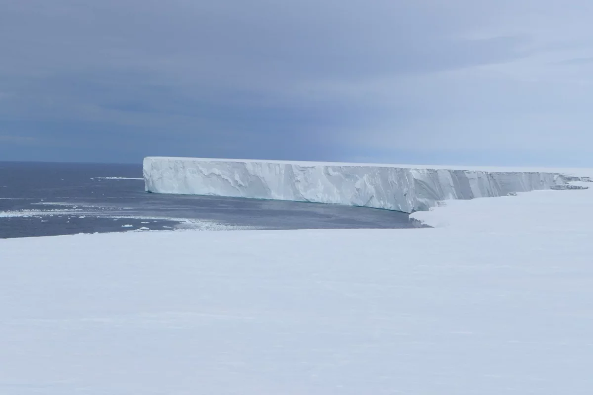 The wall of the Ross Ice Shelf stretches for a staggering 600 km (373 miles) in length