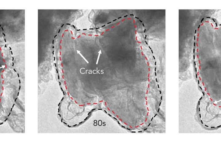 Time-lapse images from an electron microscope show a silicon microparticle (red) expanding and cracking within its graphene cage (black) as lithium ions rush in during battery charging