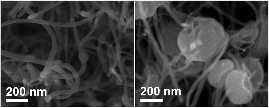 Particles of lithium peroxide form as small dots on the sides of carbon nanofibers (left), and eventually assume larger toroidal (donut) shapes as the battery continues to discharge (right) (Image: Mitchell, Gallant, and Shao-Horn)