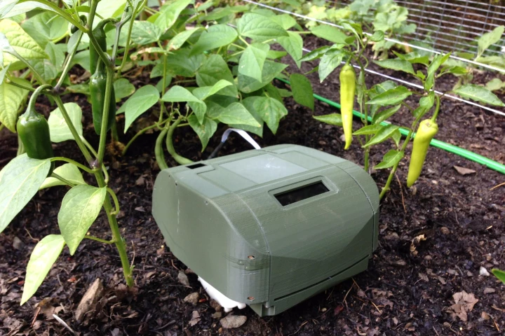 Tertill whacks weeds, so you don't have to pick them