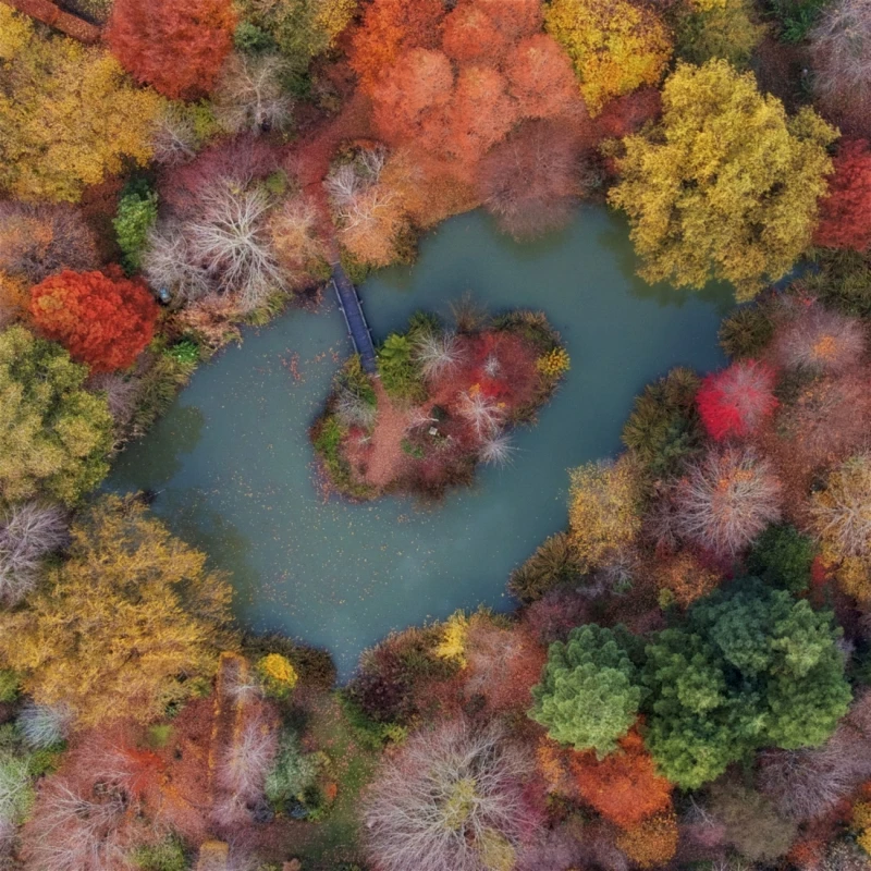 Autumn: Commended in the Nature category