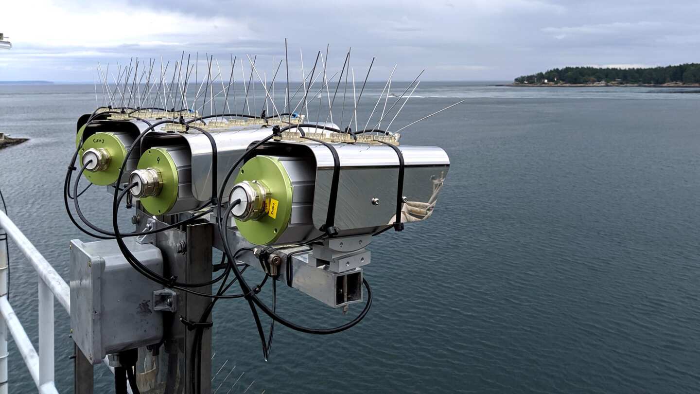 The system is about to be tested on British Columbia's Galiano Island, where cameras are being installed at a ferry terminal to monitor the mile-wide entrance to a busy strait