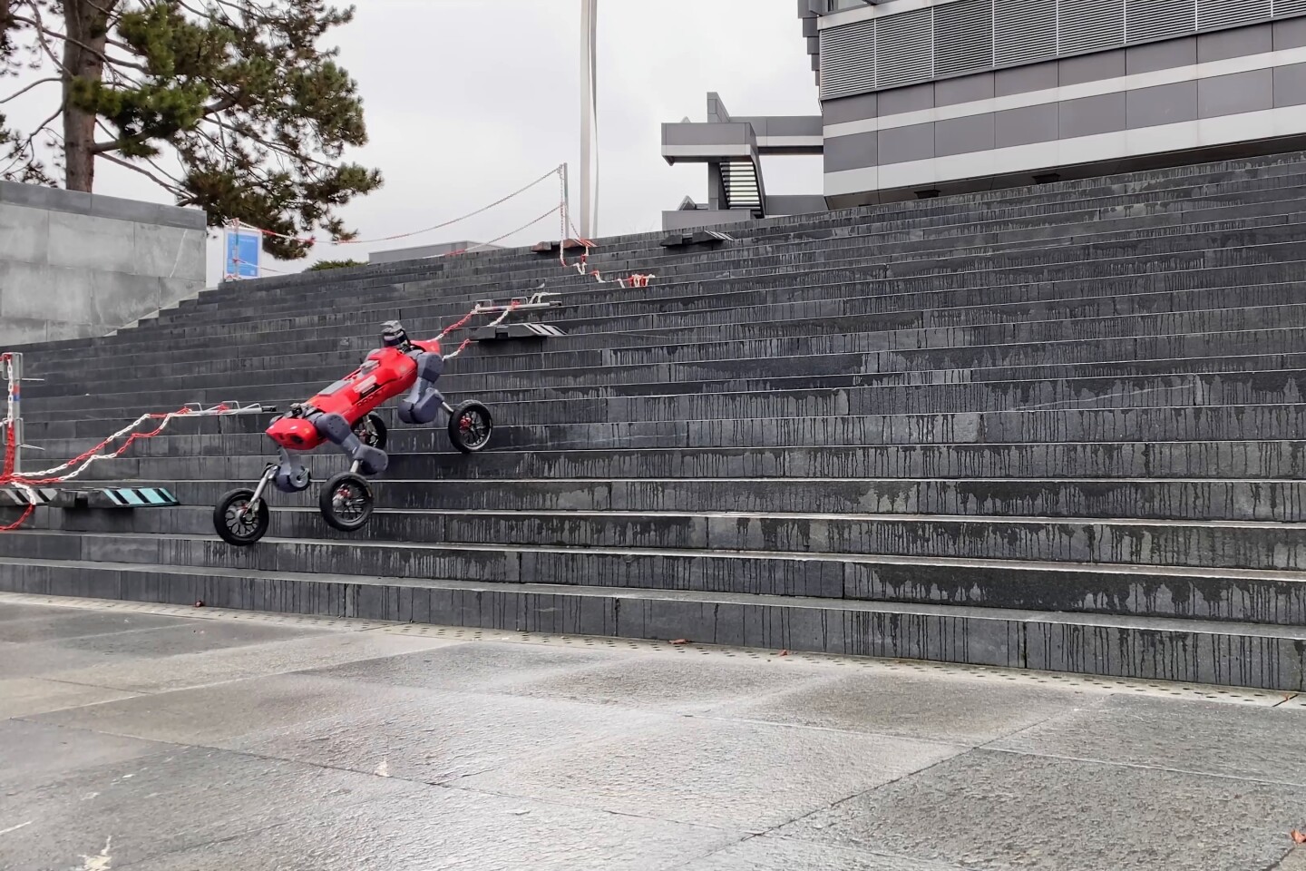 The Swiss-Mile Robot deftly descends a set of stairs