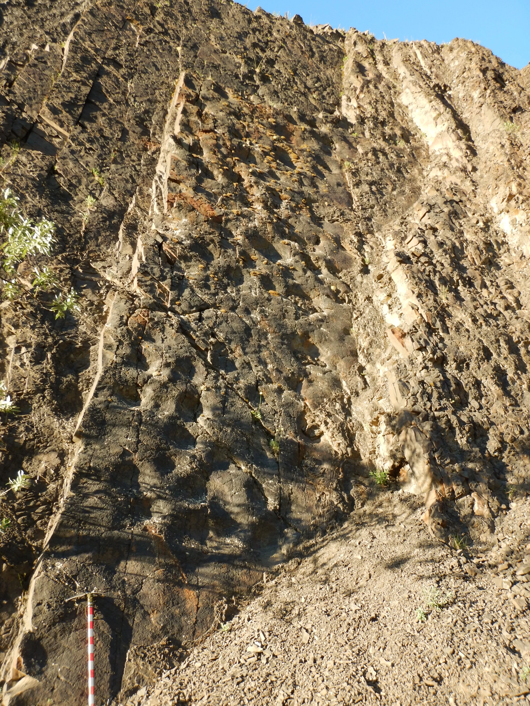 Close-up image on one wall showing numerous depressions of hadrosaur footprints – the ice axe in the lower left of the frame is approximately three-feet (0.9 m) long, for scale