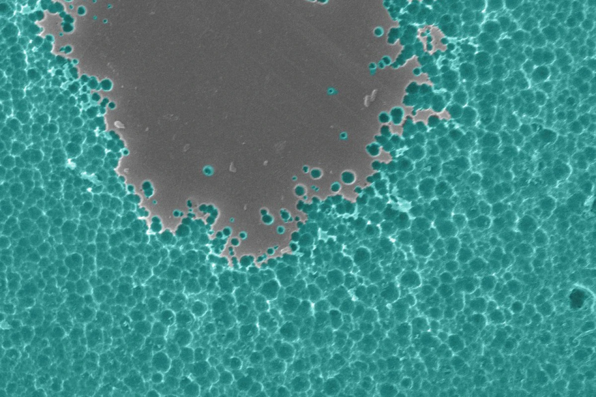 A close-up electron microscope image of the newly engineered enzyme degrading PET plastic