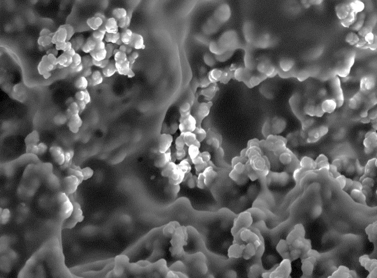 The hydrogel membrane is very porous, giving it a very high surface area that can better trap water molecules