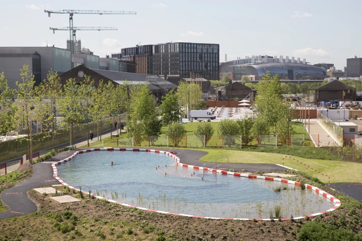 The King's Cross Pond Club freshwater swimming pond measures 40 x 10 m (131 x 33 ft)