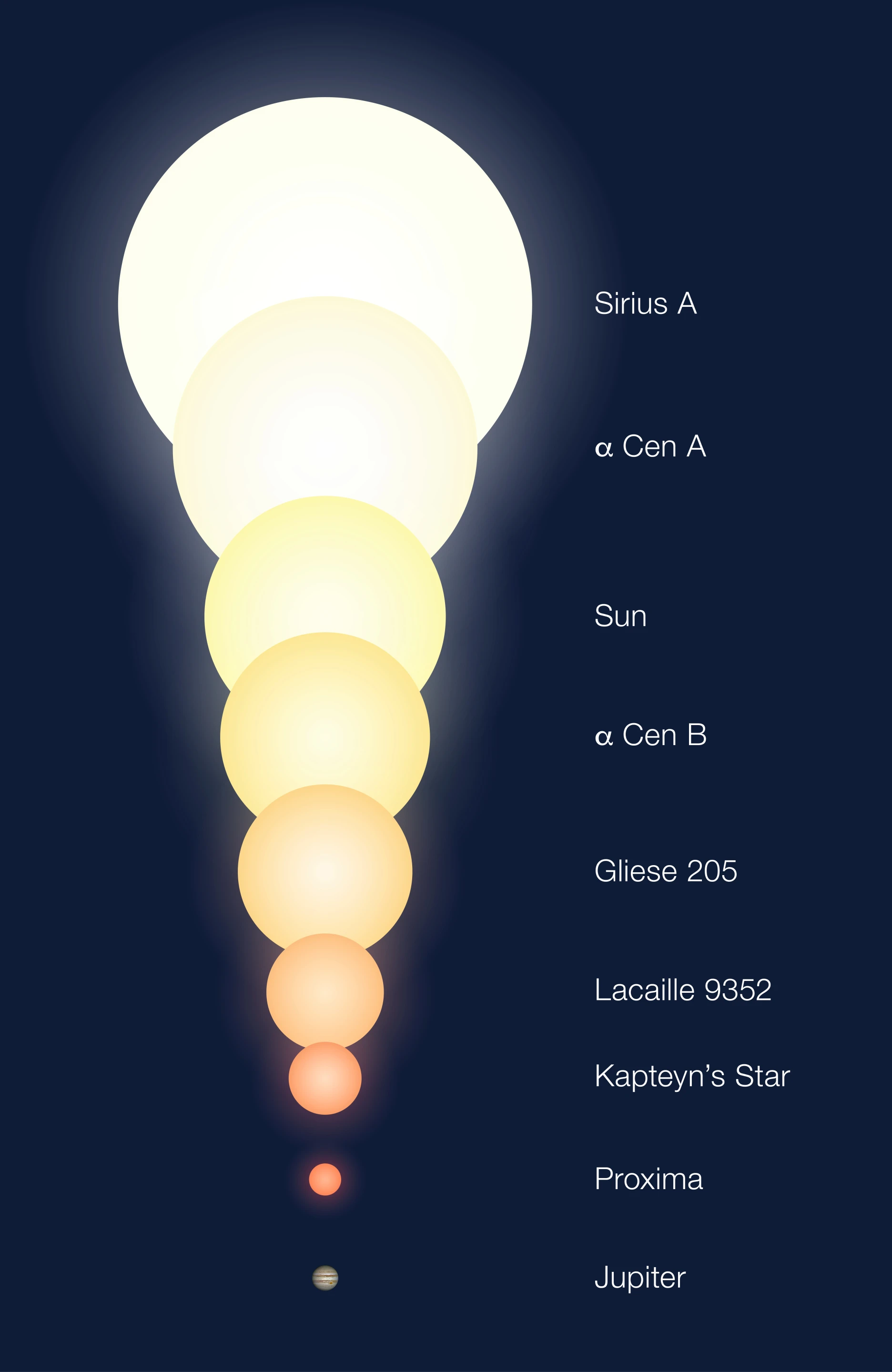Graphic displaying the size of Proxima Centauri compared to nearby stellar bodies