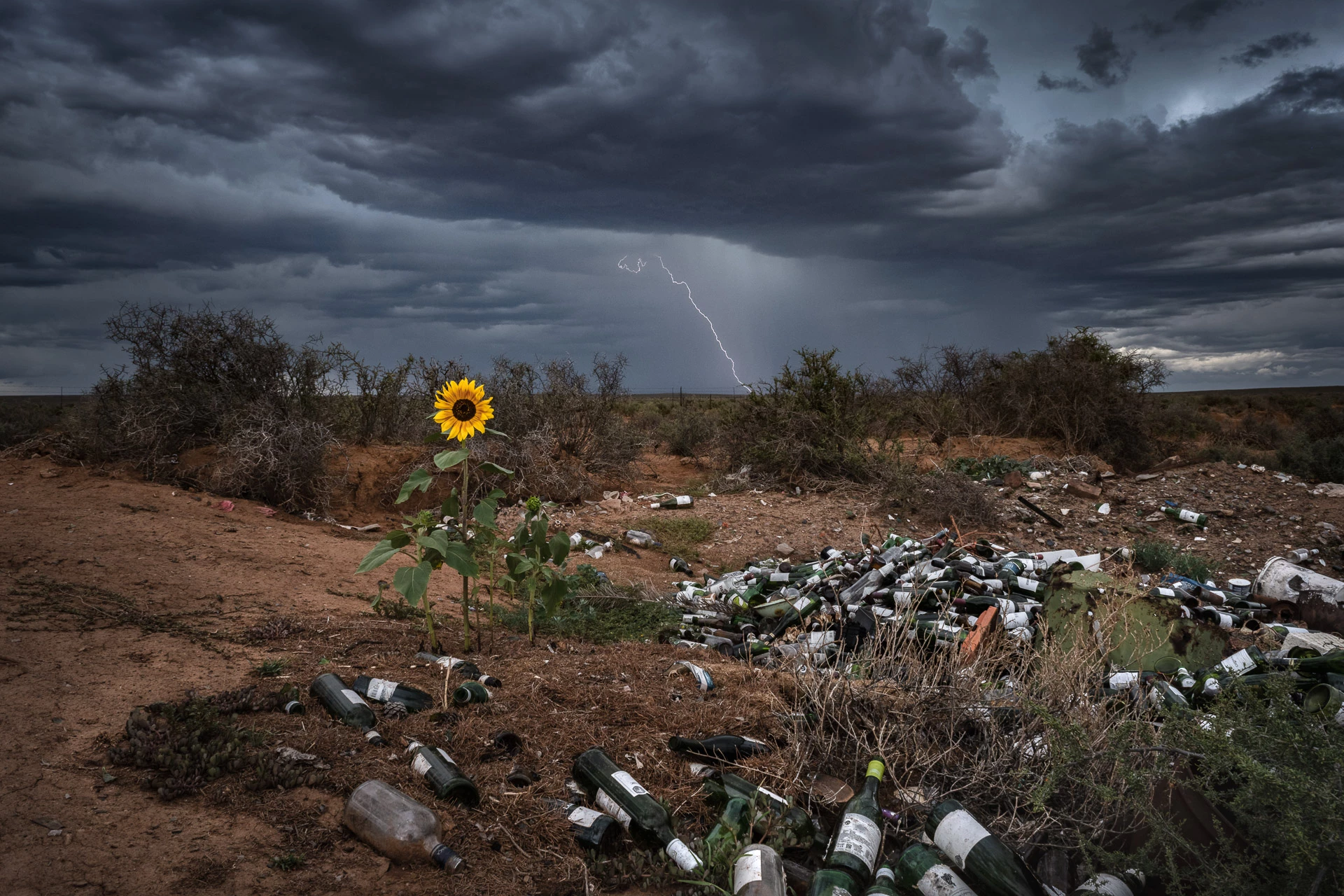 Nature TTL Photographer of the Year. Landscapes - Winner. "Nature Fights Back". Loxton, Northern Cape, South Africa