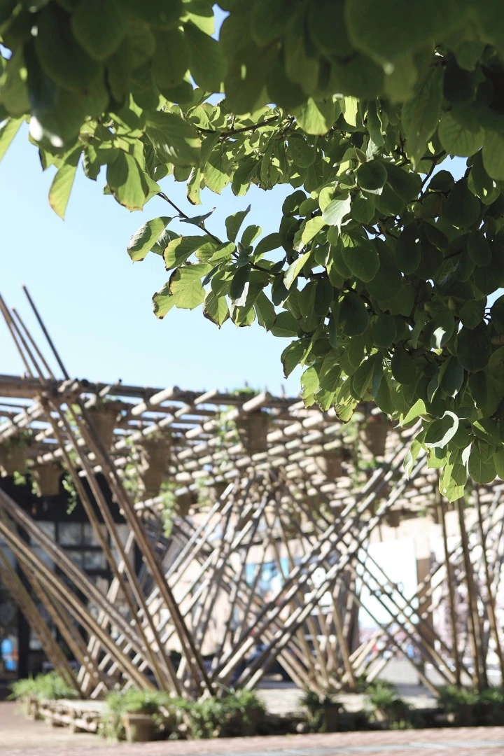 The framework is rather bare at present and obviously unsuitable for living in