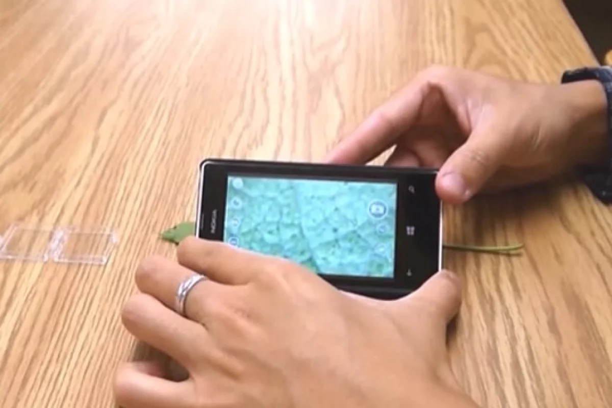Viewing the surface of a leaf on a smartphone through the low-cost lens developed at UH (Photo: University of Houston)