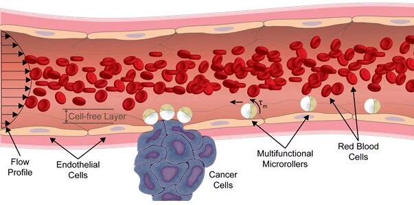 A diagram showing how the new micro-robots would move through the bloodstream, and deliver drugs automatically to cancer cells they encounter