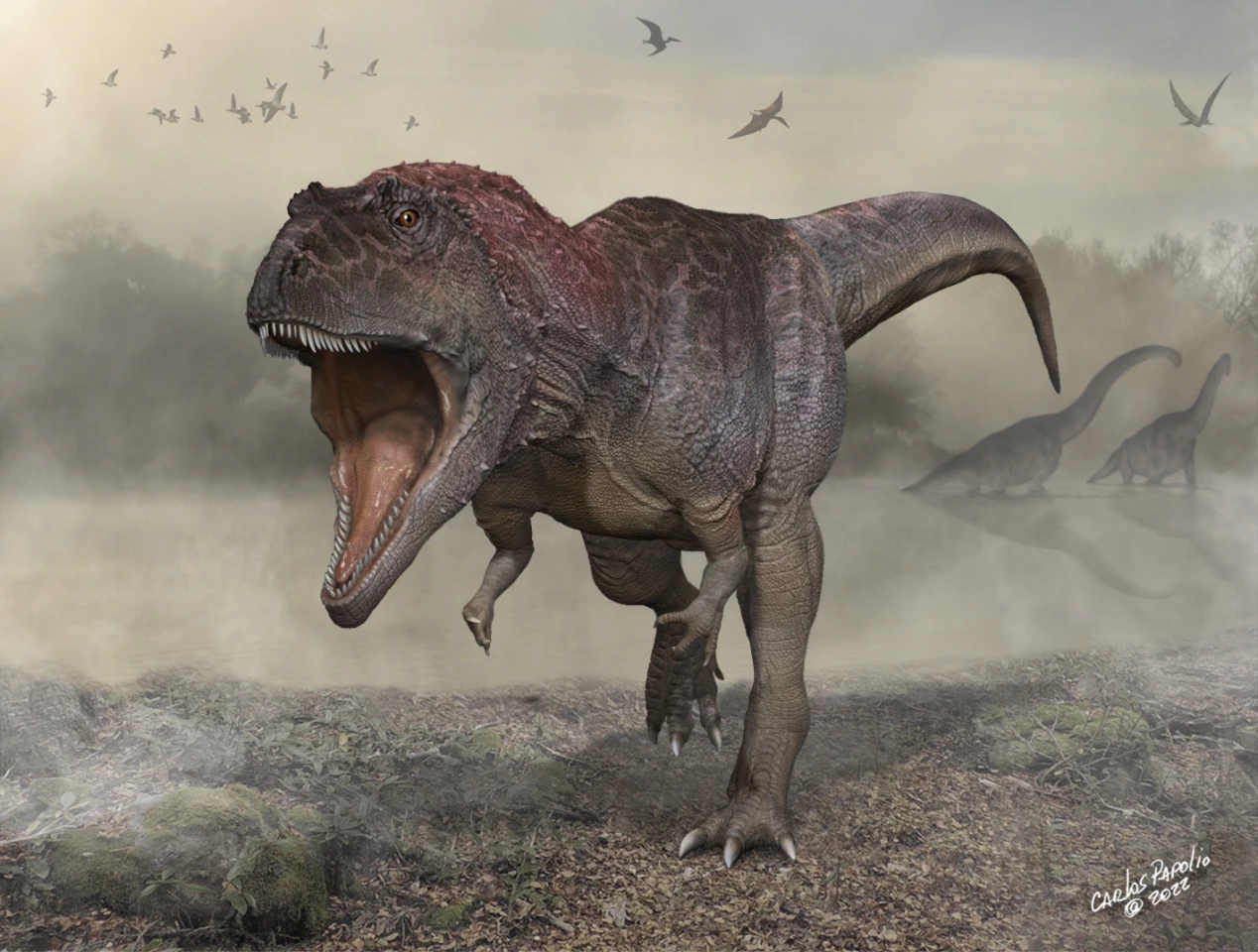 Meraxes gigas had disproportionately tiny arms for its size, like many carnivorous dinosaurs