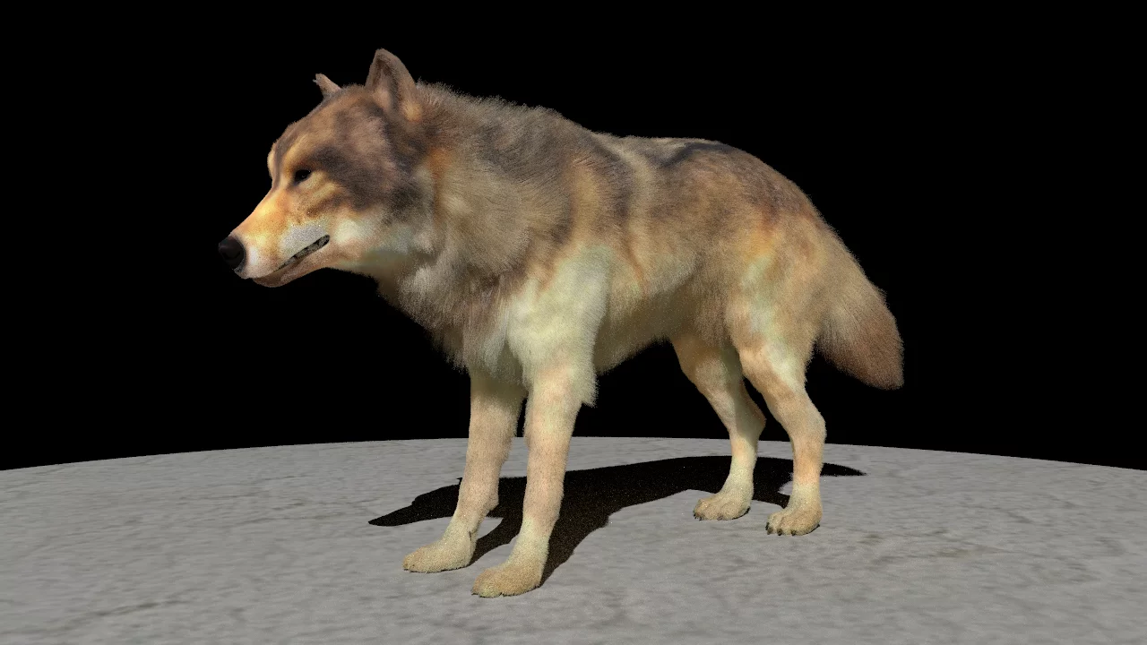 A wolf with fur created using the new technique