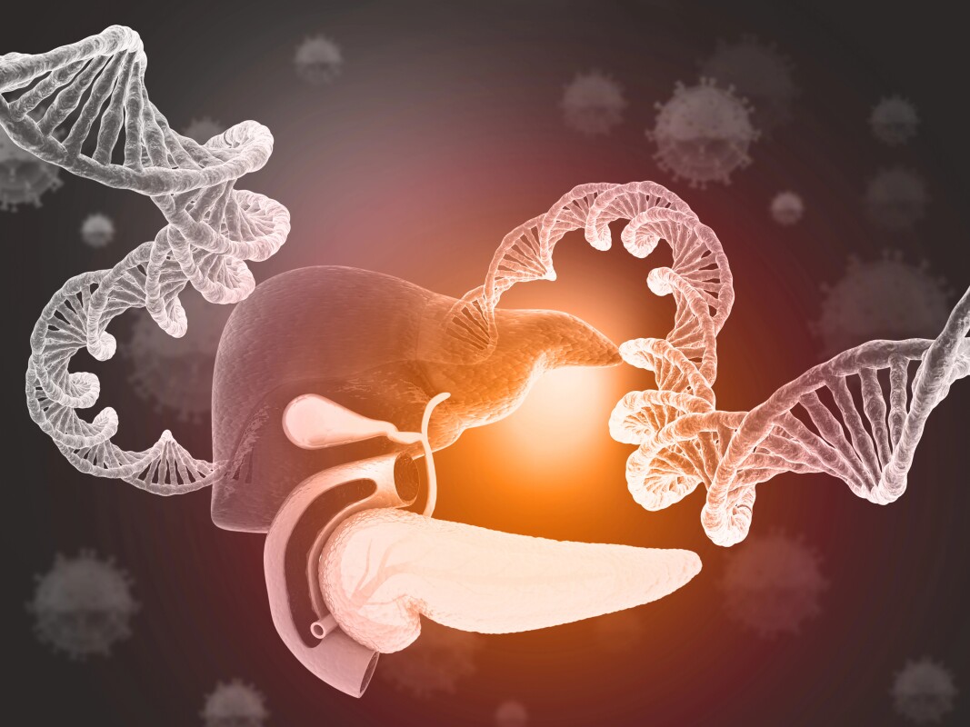 A single inflammatory switch may help repair the liver