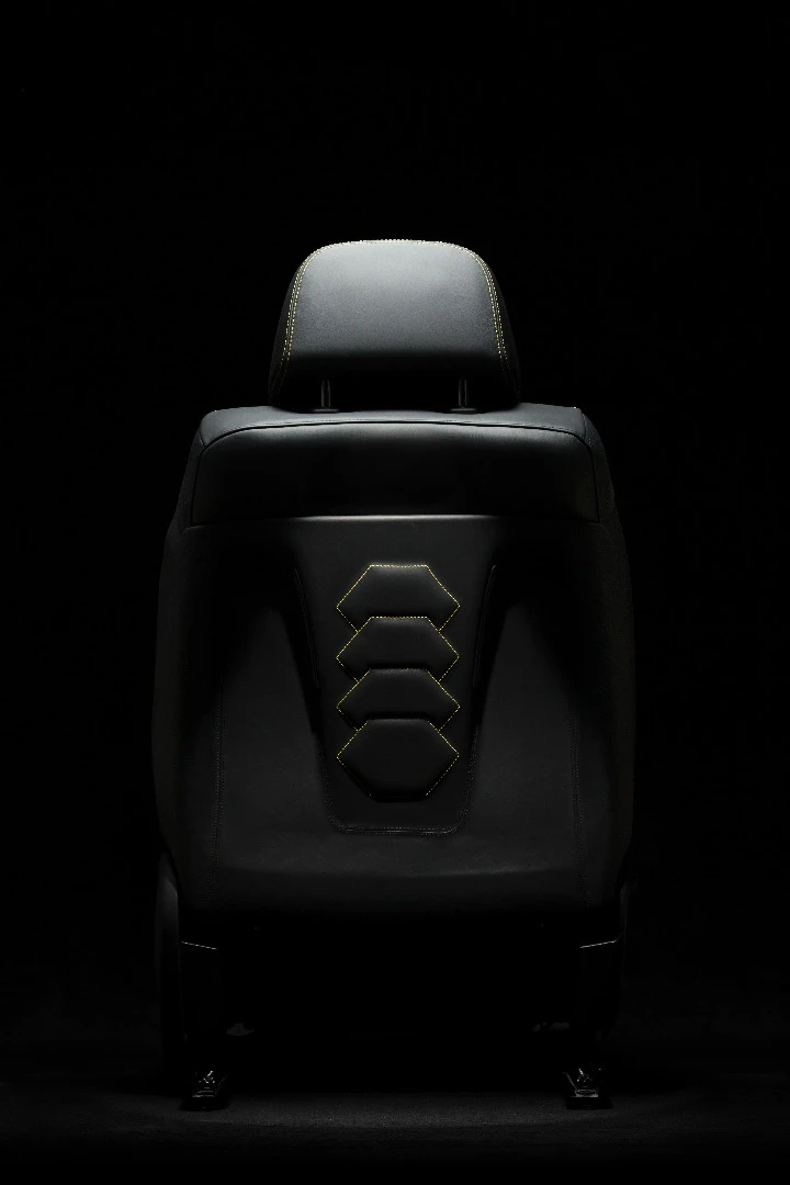 "Scaly" seat back