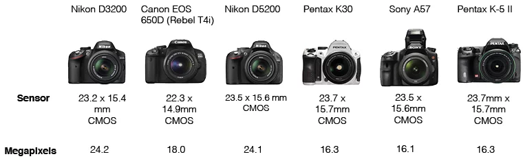 Sensor Size and Megapixel Count