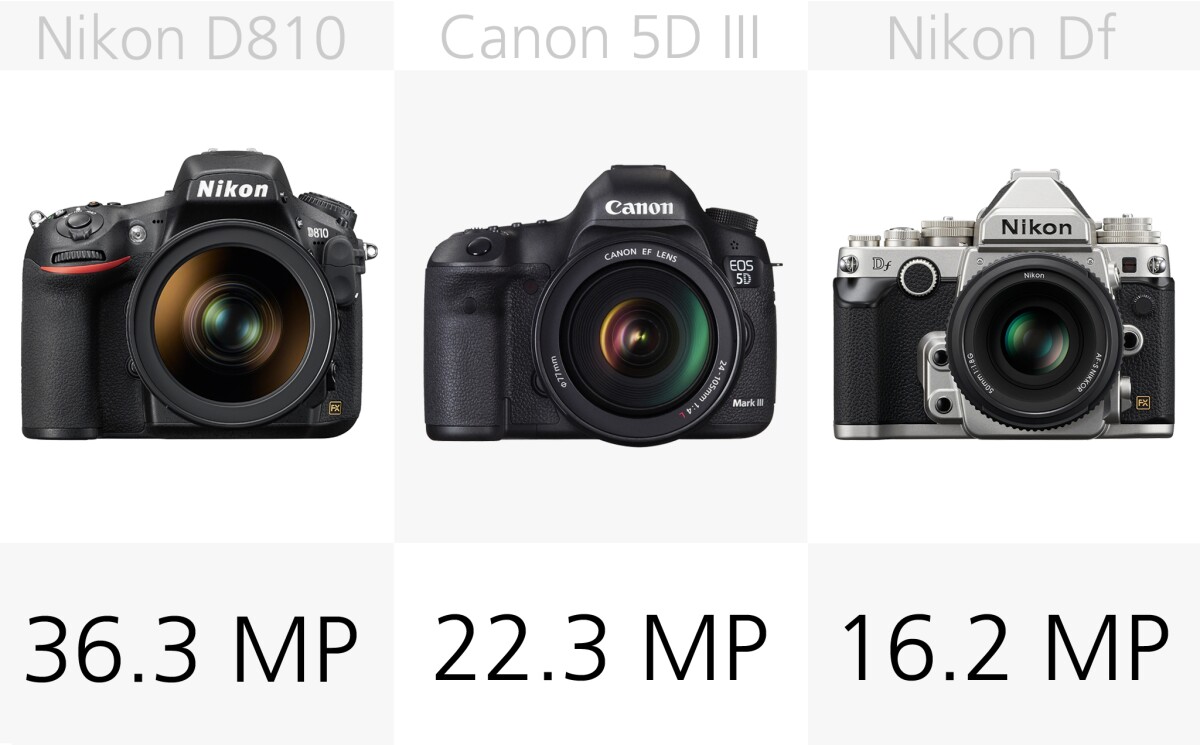 The standout camera when it comes to resolution is undoubtedly the megapixel monster that is the Nikon D810 with its 36.3-megapixels