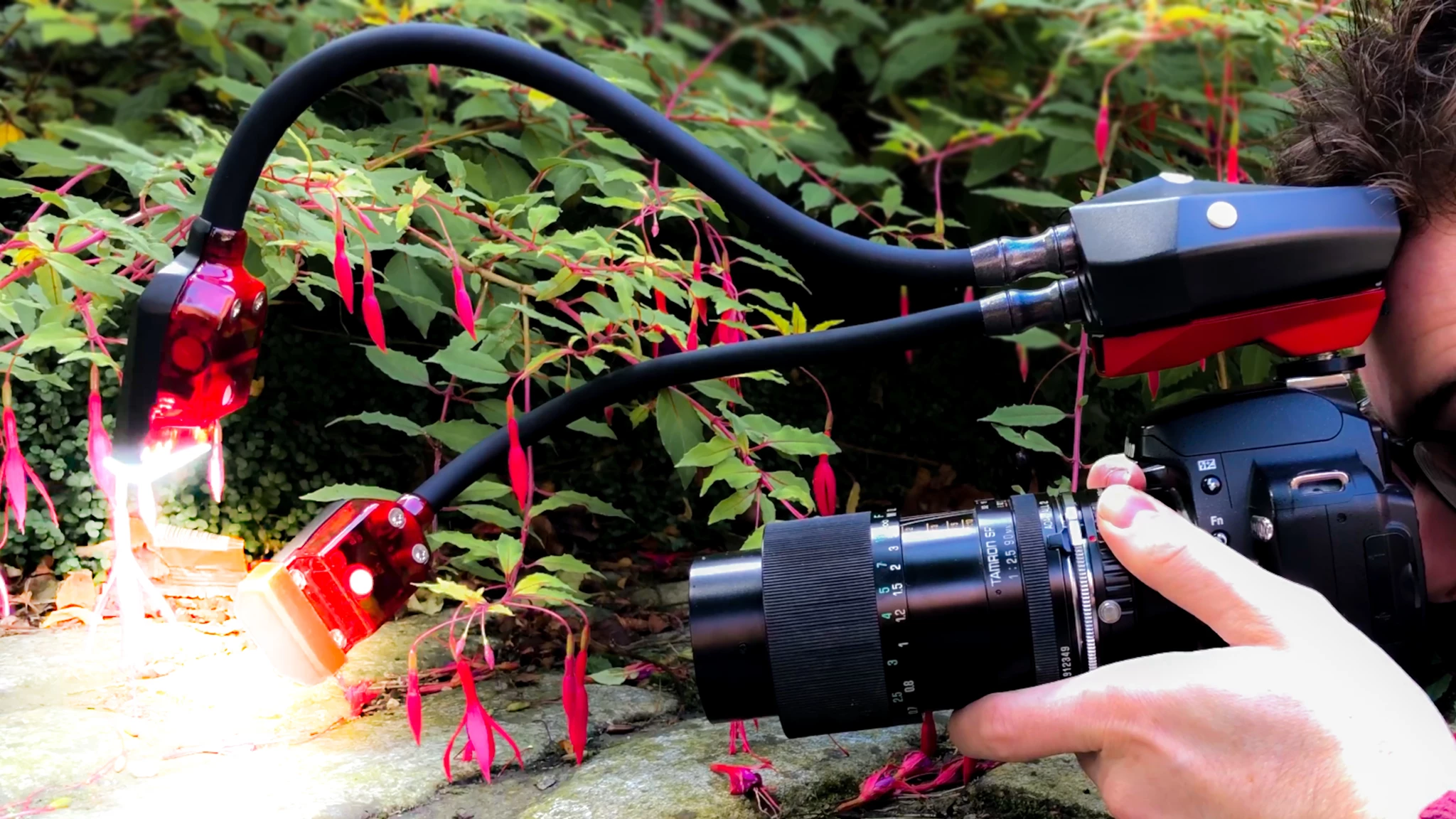 The Xenon flash system lets macro photographers control the light