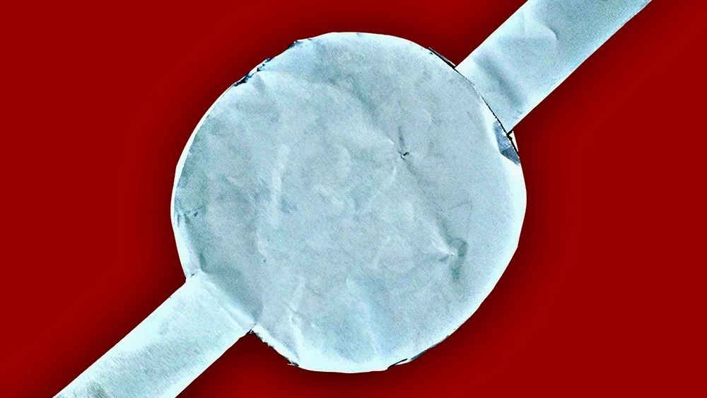 A prototype of the plant-based supercapacitor developed at Texas A&M University