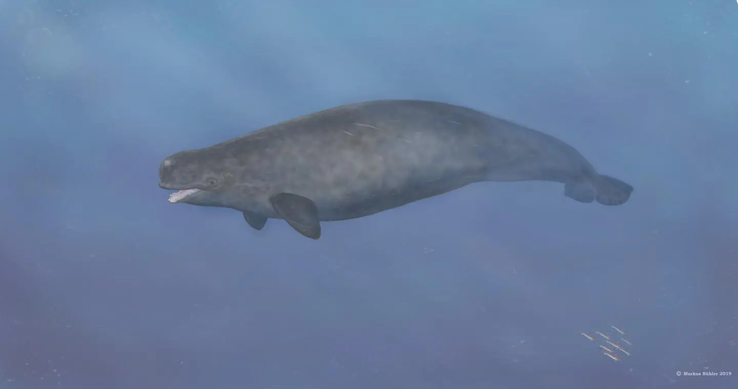 A depiction of what the hybrid may have looked like in life