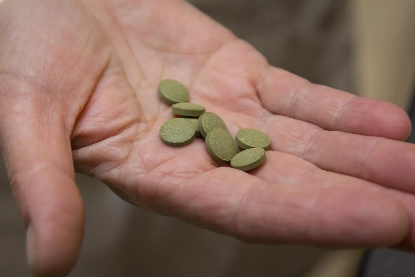 The tablets made from the Artemisia annua plant