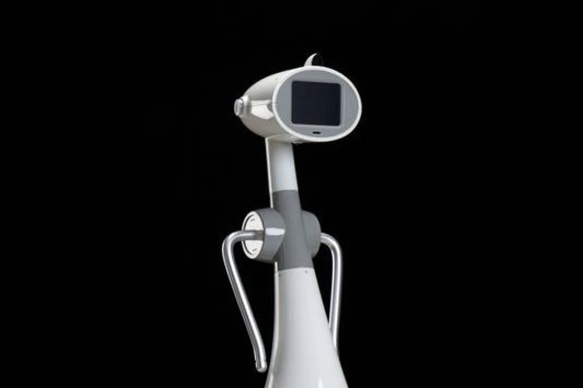 Luna is designed as a personal robot (Image: Robodynamics/Schultzeworks)