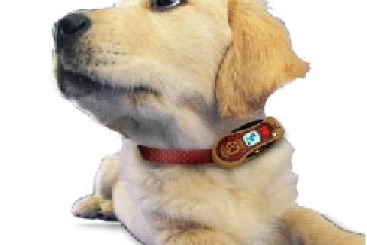 Mobile Telephone for Pets!