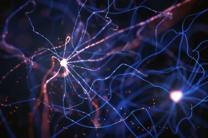 For the first time, scientists have teased apart two parts of our memory that makes the all-important whole